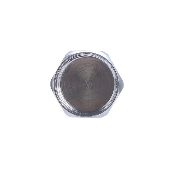 Bouchon à Visser Femelle 300 Chromé - Image 10