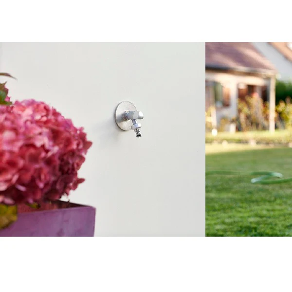 Platine Robinet de Jardin Laiton Nickelé - Image 4